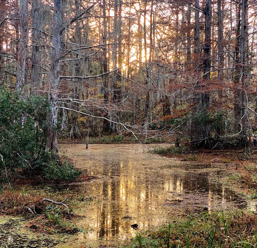 Porch Suite Porch Suite